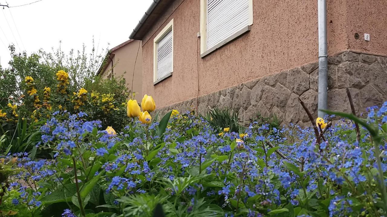 Apartmán Nagyiek Haza / Granny'S House Ostřihom Exteriér fotografie